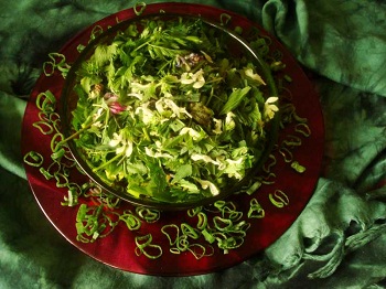 Regina F. Rau: Wiesenkr&auml;uter-Salat